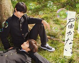 欧美一区二区不卡在线视频国产海报剧照