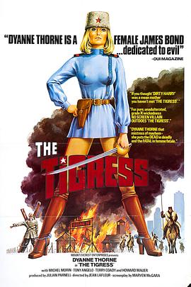 美国鸳鸯大盗海报剧照